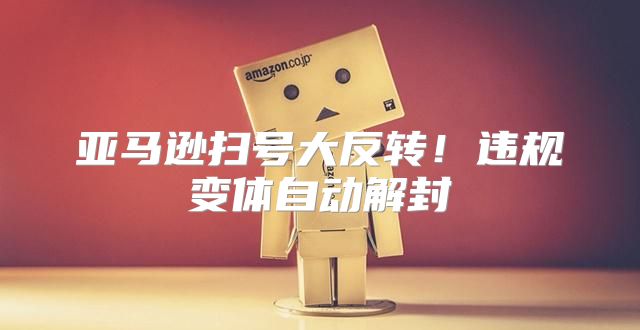 亚马逊扫号大反转！违规变体自动解封