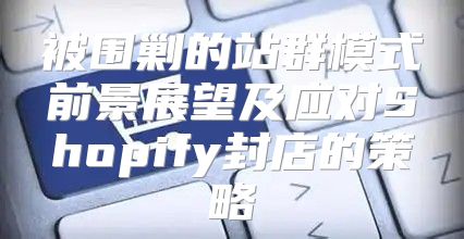 被围剿的站群模式前景展望及应对Shopify封店的策略