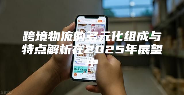 跨境物流的多元化组成与特点解析在2025年展望中