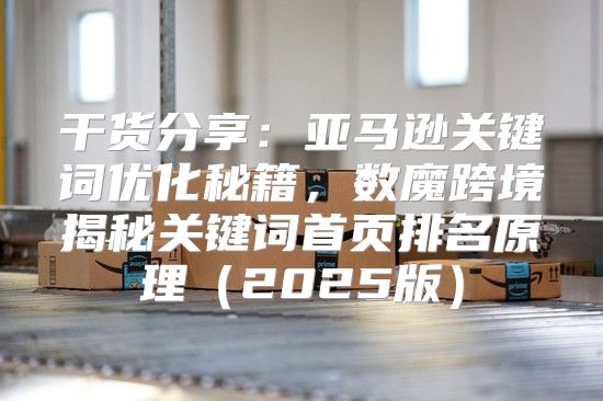 干货分享：亚马逊关键词优化秘籍，数魔跨境揭秘关键词首页排名原理2025版