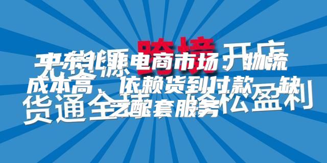 中东北非电商市场：物流成本高、依赖货到付款、缺乏配套服务