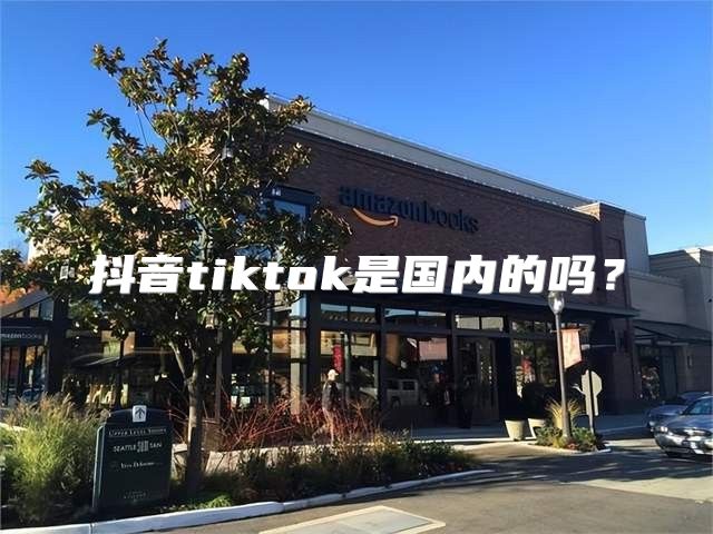 抖音tiktok是国内的吗？