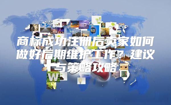 商标成功注册后卖家如何做好后期维护工作？建议与策略攻略