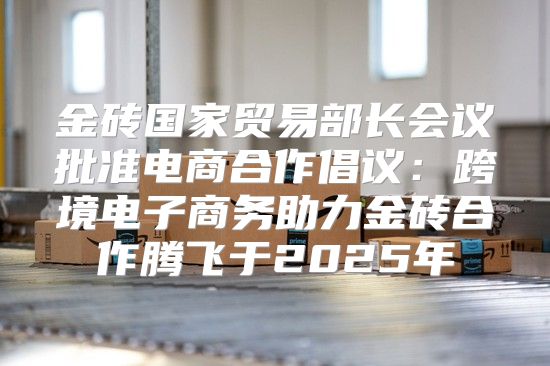 金砖国家贸易部长会议批准电商合作倡议：跨境电子商务助力金砖合作腾飞于2025年