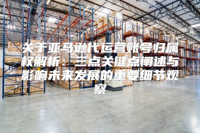 关于亚马逊代运营账号归属权解析：三点关键点阐述与影响未来发展的重要细节观察
