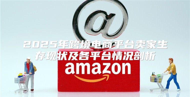2025年跨境电商平台卖家生存现状及各平台情况剖析