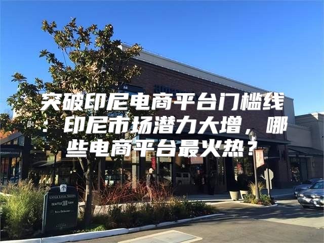 突破印尼电商平台门槛线：印尼市场潜力大增，哪些电商平台最火热？