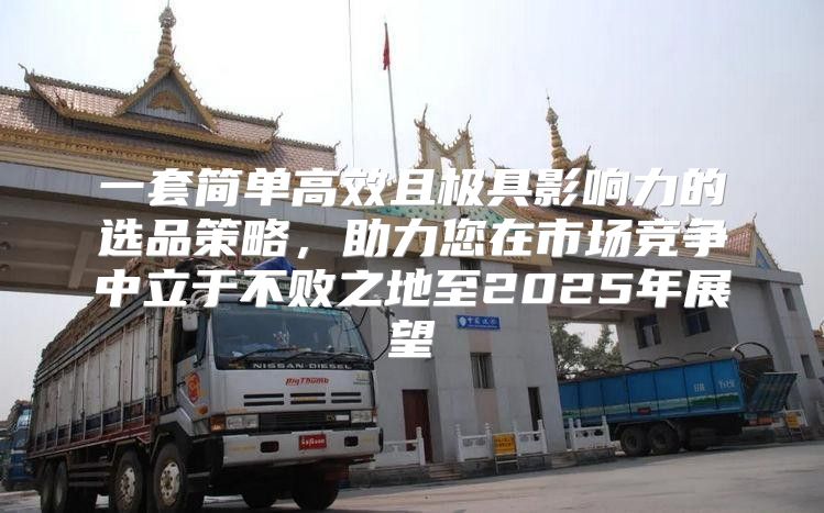 一套简单高效且极具影响力的选品策略，助力您在市场竞争中立于不败之地至2025年展望
