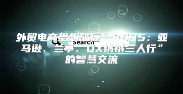 外贸电商思想碰撞”2025亚马逊、兰亭、DX锵锵三人行”的智慧交流