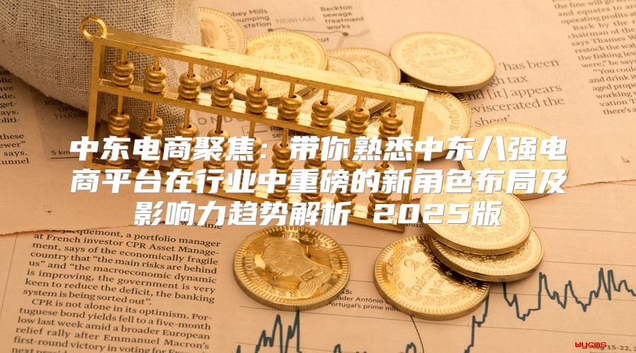 中东电商聚焦：带你熟悉中东八强电商平台在行业中重磅的新角色布局及影响力趋势解析 2025版