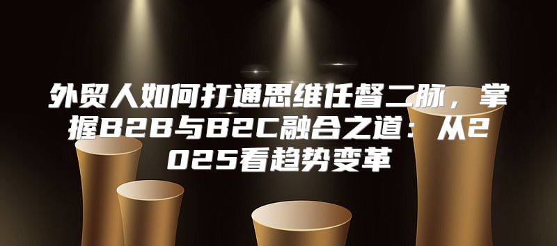 外贸人如何打通思维任督二脉，掌握B2B与B2C融合之道：从2025看趋势变革