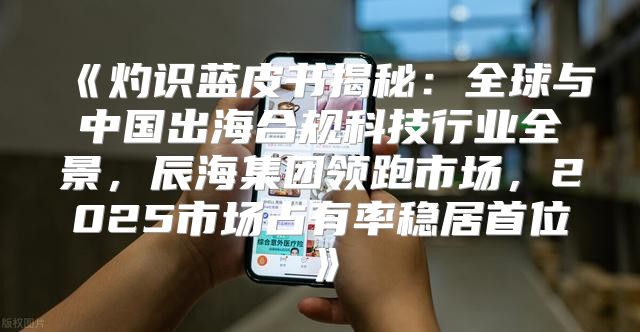灼识蓝皮书揭秘：全球与中国出海合规科技行业全景，辰海集团领跑市场，2025市场占有率稳居首位