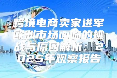 跨境电商卖家进军欧洲市场面临的挑战与原因解析：2025年观察报告