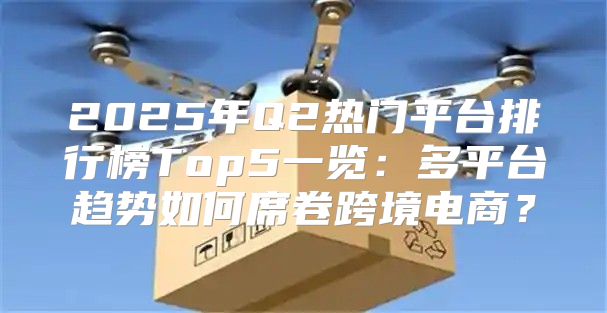 2025年Q2热门平台排行榜Top5一览：多平台趋势如何席卷跨境电商？