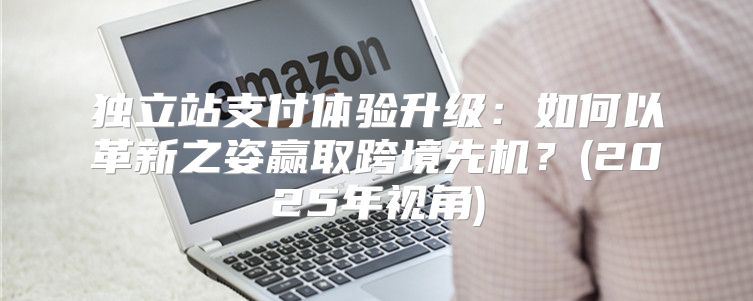 独立站支付体验升级：如何以革新之姿赢取跨境先机？(2025年视角)