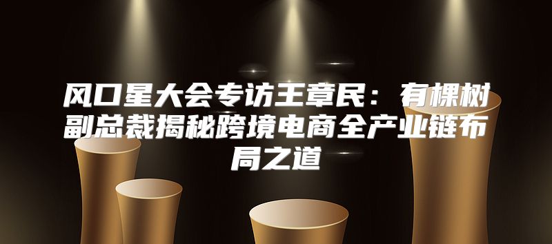 风口星大会专访王章民：有棵树副总裁揭秘跨境电商全产业链布局之道