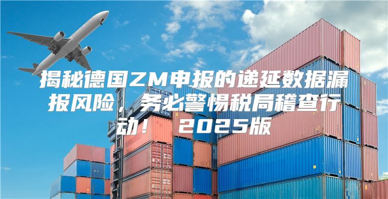 揭秘德国ZM申报的递延数据漏报风险，务必警惕税局稽查行动！ 2025版