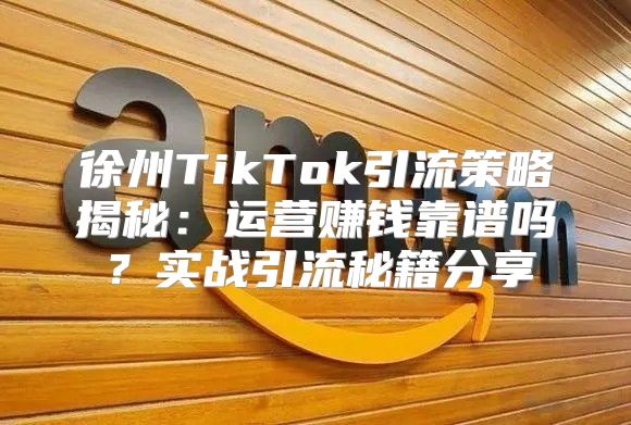 徐州TikTok引流策略揭秘：运营赚钱靠谱吗？实战引流秘籍分享