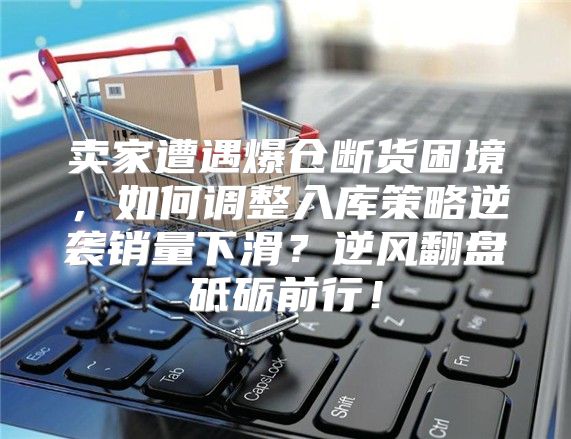卖家遭遇爆仓断货困境，如何调整入库策略逆袭销量下滑？逆风翻盘砥砺前行！