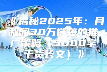 揭秘2025年：月利润30万链接的推广策略5000字干货长文