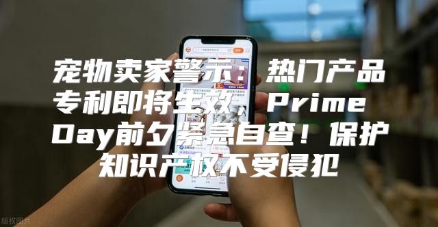 宠物卖家警示：热门产品专利即将生效，Prime Day前夕紧急自查！保护知识产权不受侵犯