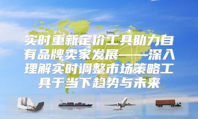 实时重新定价工具助力自有品牌卖家发展——深入理解实时调整市场策略工具于当下趋势与未来