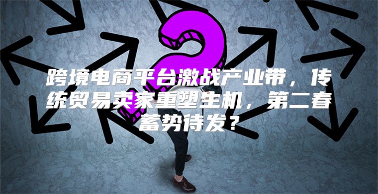 跨境电商平台激战产业带，传统贸易卖家重塑生机，第二春蓄势待发？