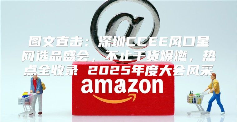 图文直击：深圳CCEE风口星网选品盛会，不止干货爆燃，热点全收录 2025年度大会风采！