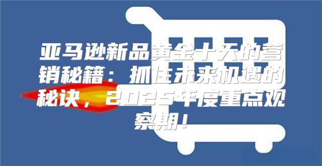 亚马逊新品黄金十天的营销秘籍：抓住未来机遇的秘诀，2025年度重点观察期！