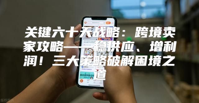 关键六十天战略：跨境卖家攻略——稳供应、增利润！三大策略破解困境之道