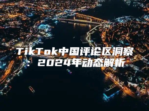 TikTok中国评论区洞察：2025年动态解析