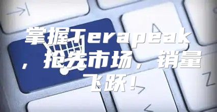 掌握Terapeak，抢先市场，销量飞跃！