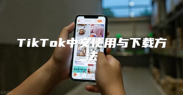 TikTok中文使用与下载方法