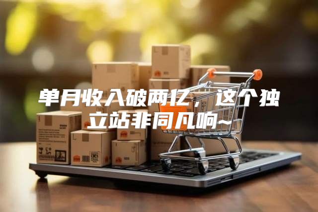 单月收入破两亿，这个独立站非同凡响~