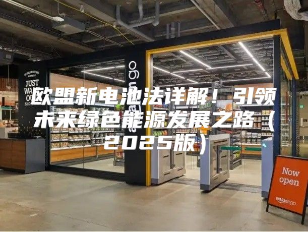 欧盟新电池法详解！引领未来绿色能源发展之路2025版