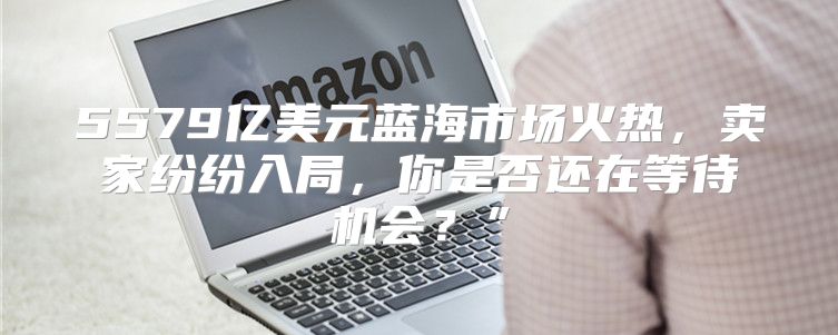5579亿美元蓝海市场火热，卖家纷纷入局，你是否还在等待机会？”