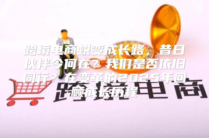 跨境电商蜕变成长路，昔日伙伴今何在？我们是否依旧同行？在变革的2025年回顾成长历程