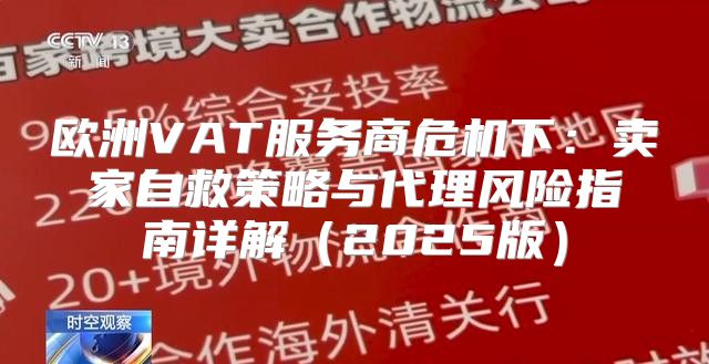 欧洲VAT服务商危机下：卖家自救策略与代理风险指南详解2025版