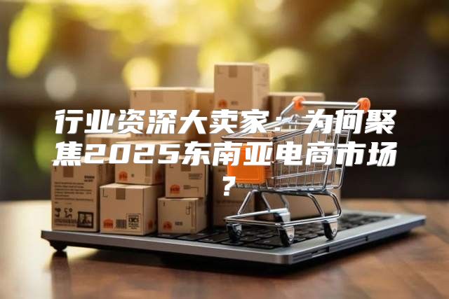 行业资深大卖家：为何聚焦2025东南亚电商市场？