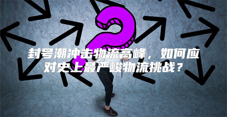 封号潮冲击物流高峰，如何应对史上最严峻物流挑战？