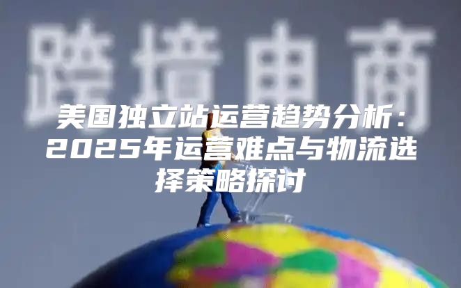 美国独立站运营趋势分析：2025年运营难点与物流选择策略探讨