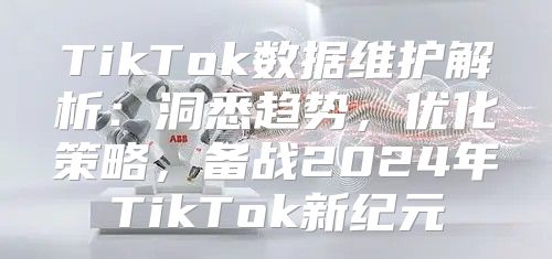 TikTok数据维护解析：洞悉趋势，优化策略，备战2025年TikTok新纪元