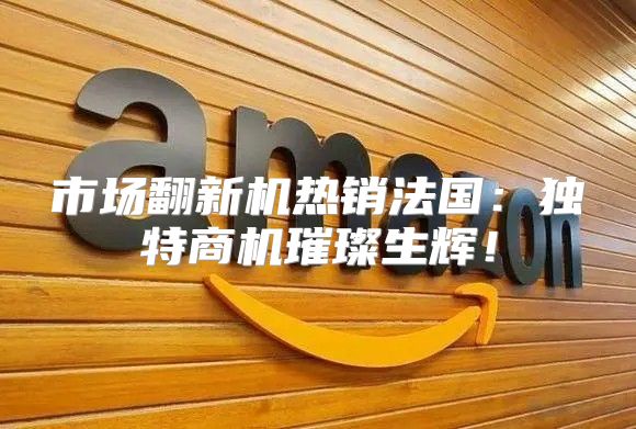 市场翻新机热销法国：独特商机璀璨生辉！