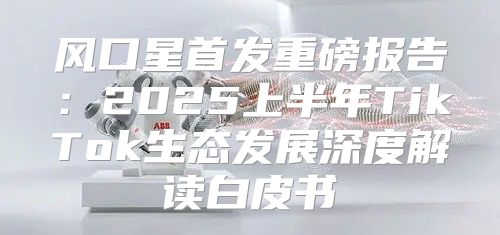 风口星首发重磅报告：2025上半年TikTok生态发展深度解读白皮书