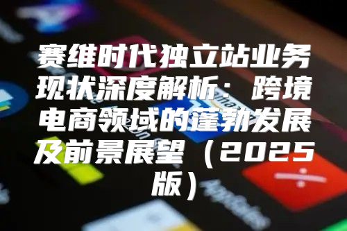 赛维时代独立站业务现状深度解析：跨境电商领域的蓬勃发展及前景展望2025版