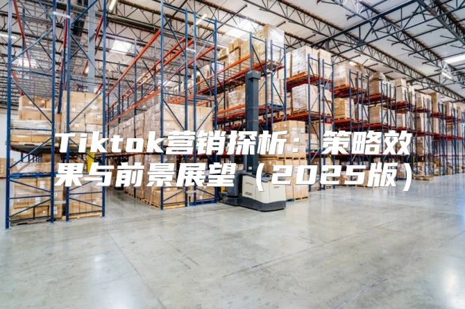 Tiktok营销探析：策略效果与前景展望2025版