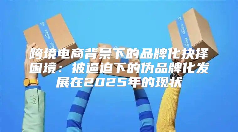 跨境电商背景下的品牌化抉择困境：被逼迫下的伪品牌化发展在2025年的现状