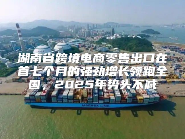 湖南省跨境电商零售出口在首七个月的强劲增长领跑全国，2025年势头不减