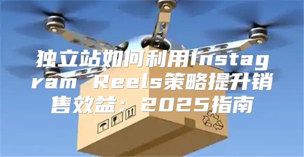 独立站如何利用Instagram Reels策略提升销售效益：2025指南