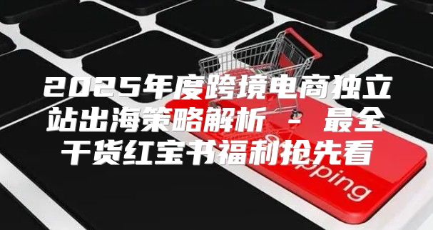 2025年度跨境电商独立站出海策略解析 - 最全干货红宝书福利抢先看